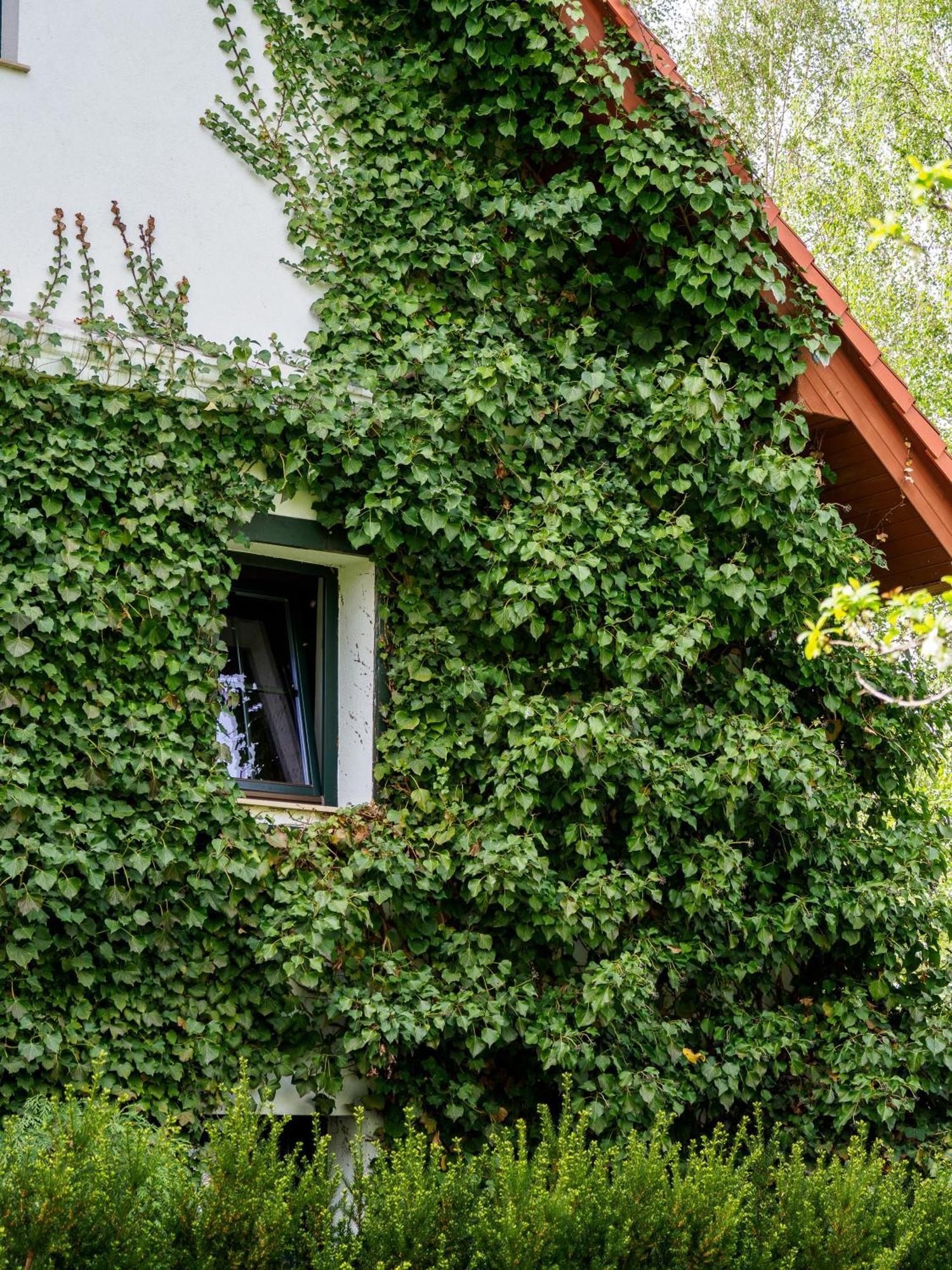 Plonica 1 Hotel Zloty Stok Exterior photo