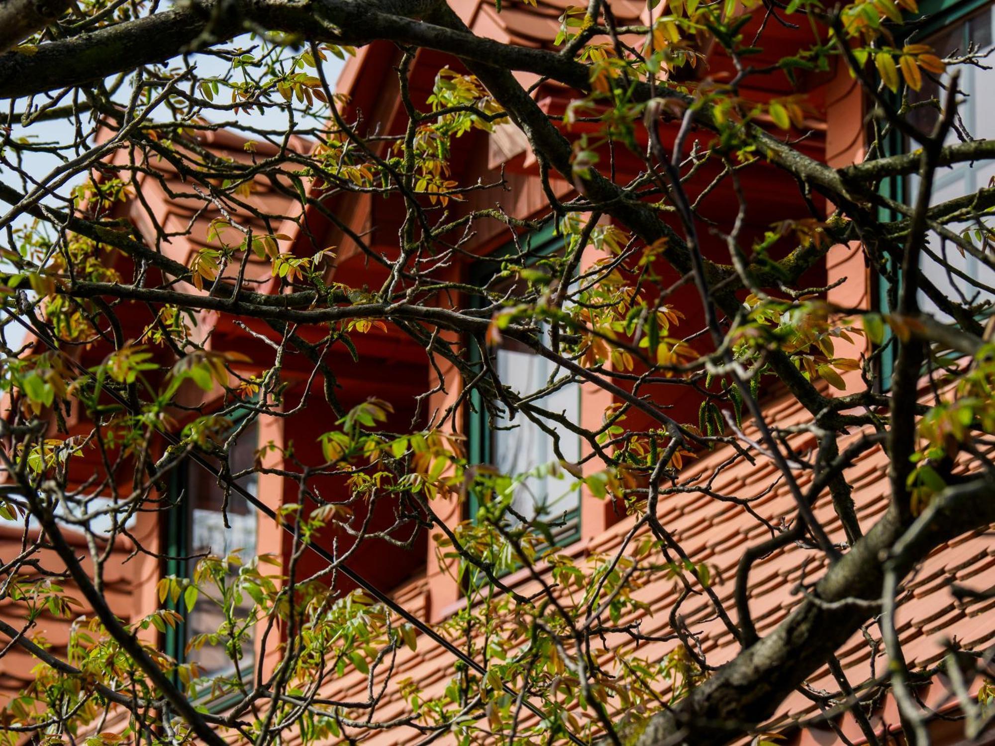Plonica 1 Hotel Zloty Stok Exterior photo